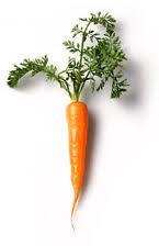Carrot
