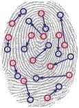 Fingerprint