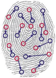 Fingerprint
