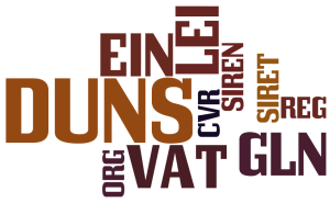 Busienss Entity Identifiers