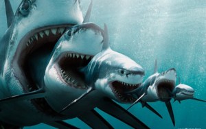 shark_eat