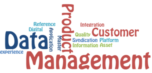Data Management New Wordle